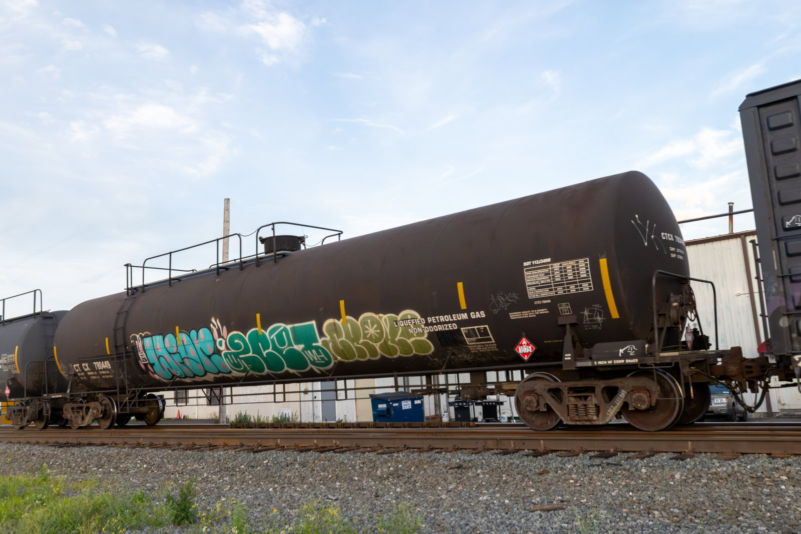 CTCX 780449