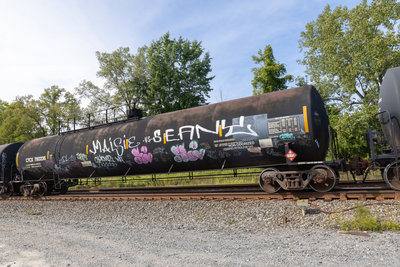 CTCX 780236