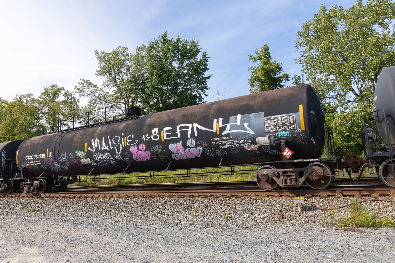 CTCX 780236