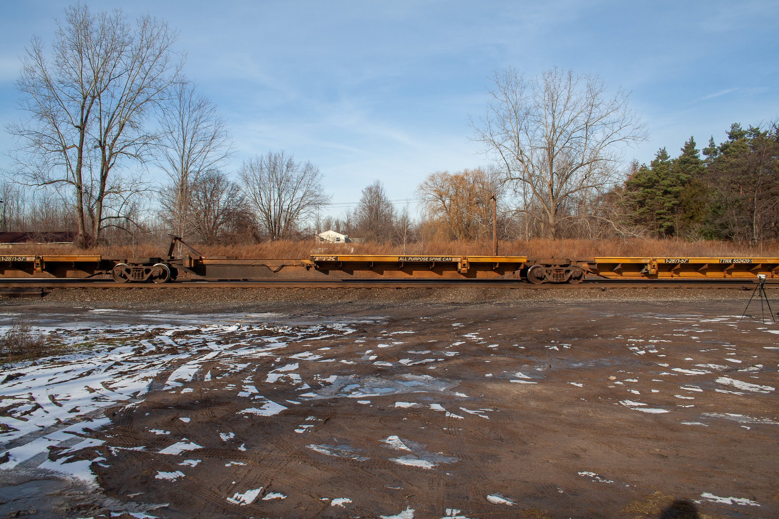 TTRX 552420C