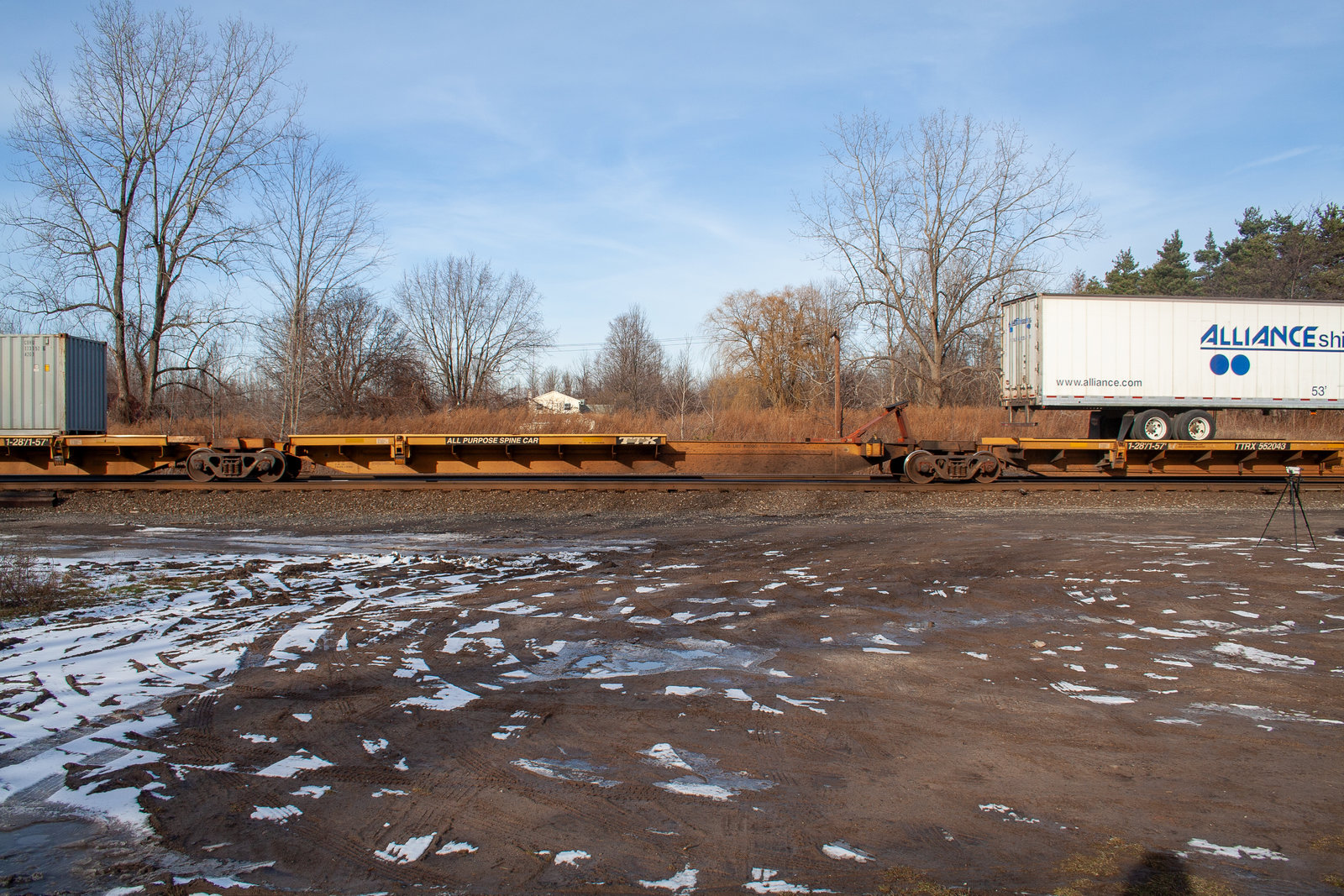 TTRX 552043C