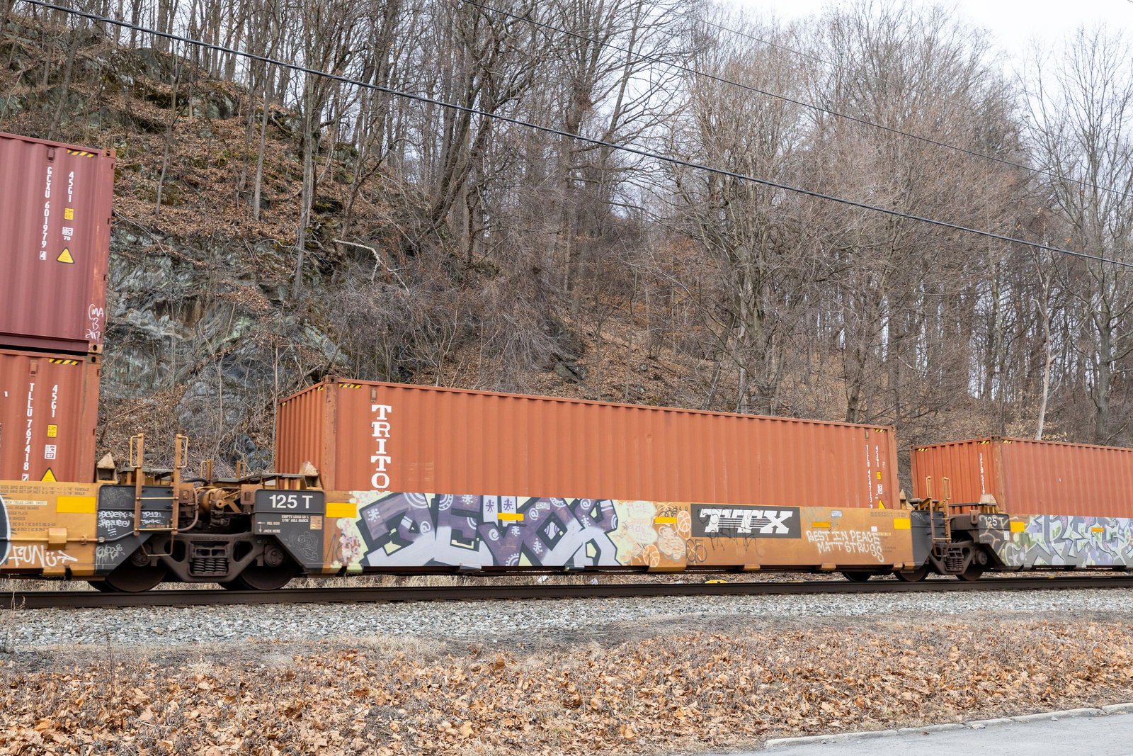 DTTX 759194D
